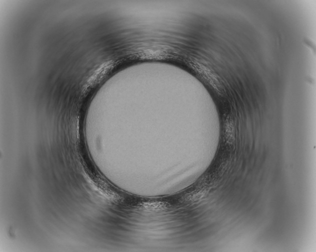 X0000096410686200802141541