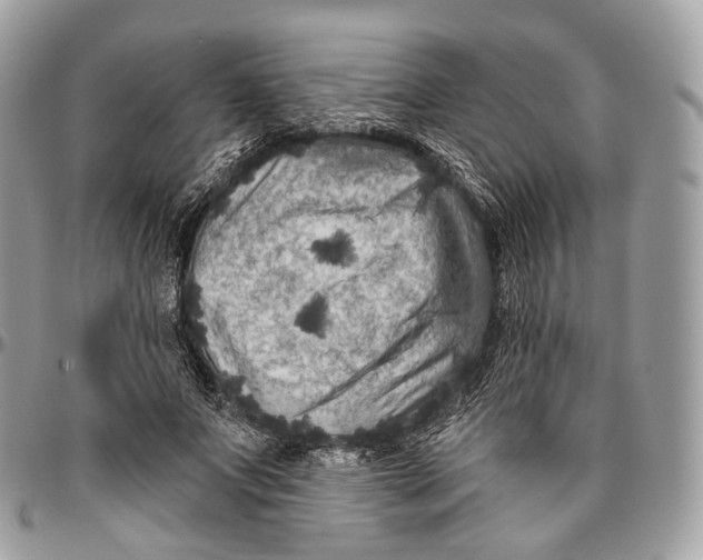 X0000096410687200802141541