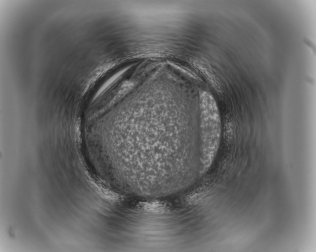 X0000096410688200802141541