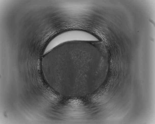 X0000096410689200802141541