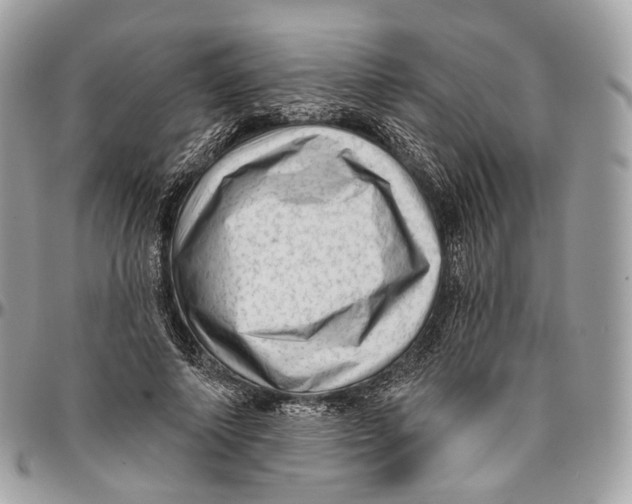 X0000096410690200802141541