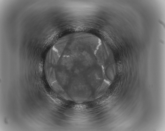 X0000096410691200802141541