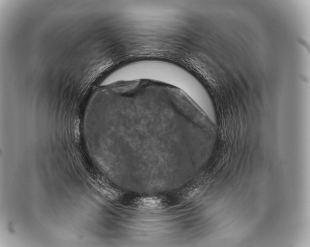 X0000096410692200802141541