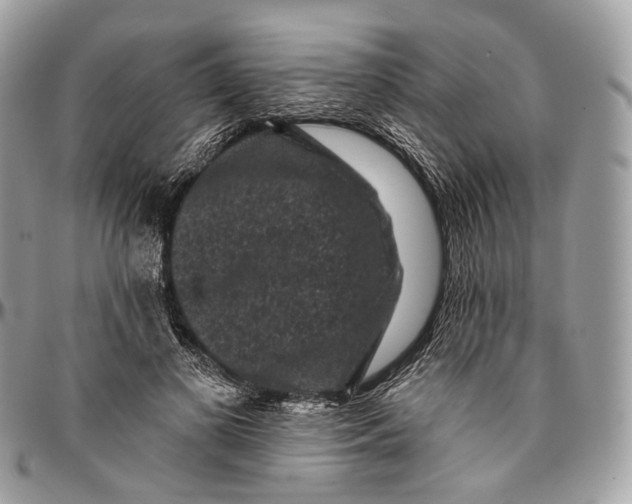 X0000096410693200802141541