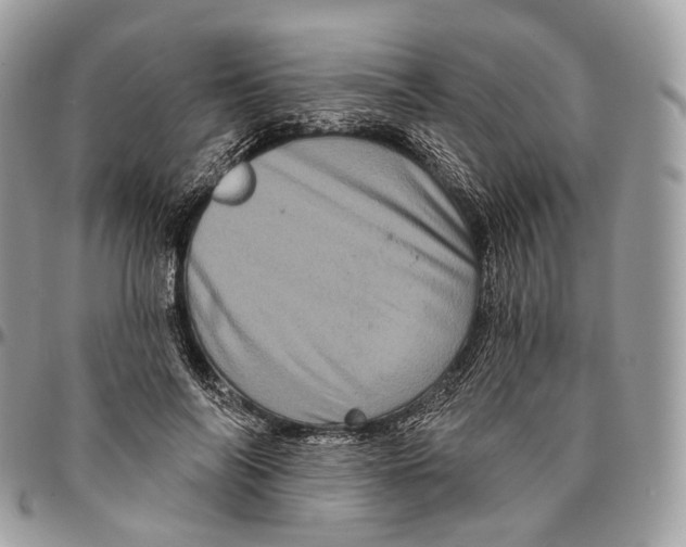 X0000096410694200802141541