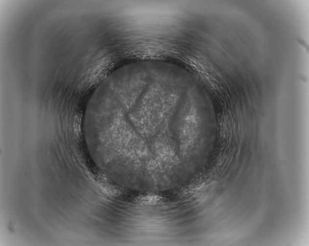 X0000096410695200802141541