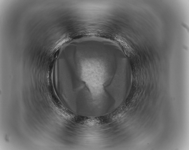 X0000096410696200802141541