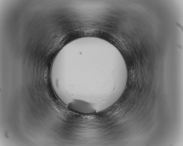 X0000096410698200802141541