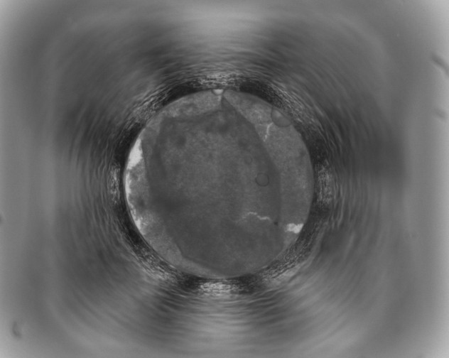 X0000096410699200802141541