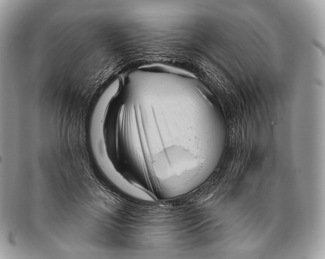 X0000096410700200802141541