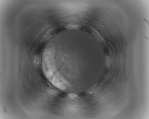 X0000096410701200802141541