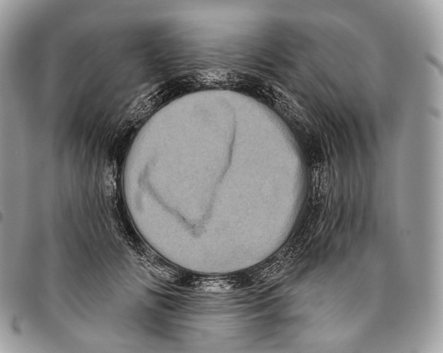 X0000096410702200802141541