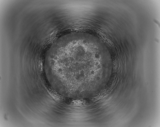 X0000096410703200802141541