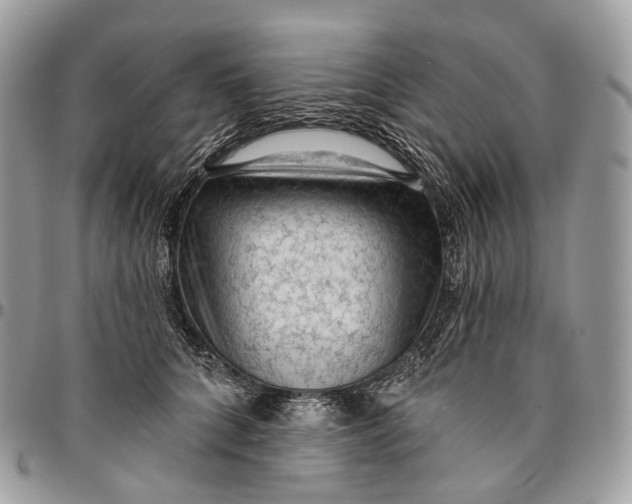 X0000096410704200802141541