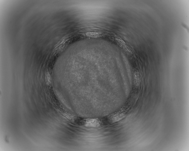 X0000096410705200802141541