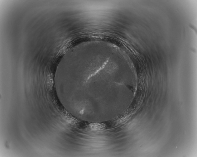 X0000096410707200802141541