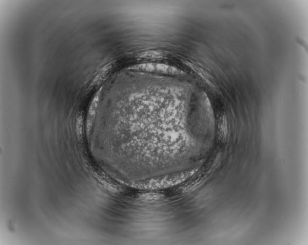 X0000096410708200802141541