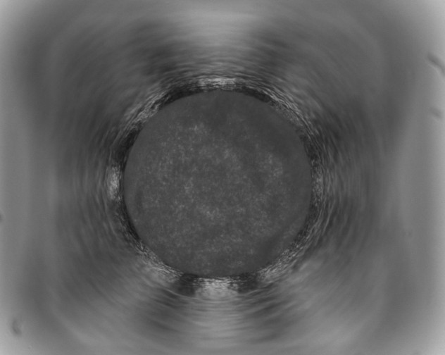 X0000096410709200802141541