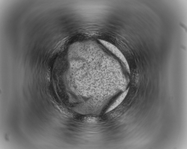 X0000096410710200802141541