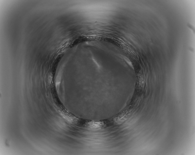 X0000096410711200802141541