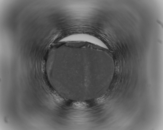 X0000096410712200802141541