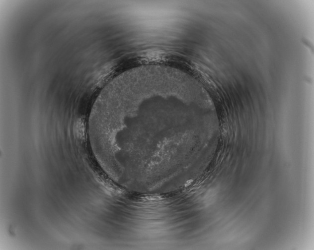 X0000096410715200802141541