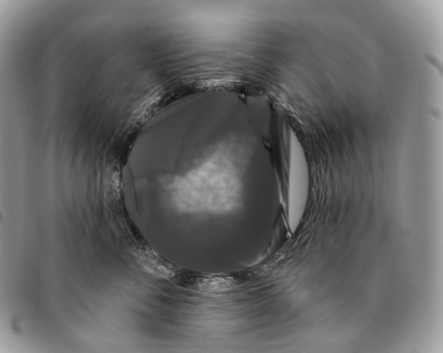 X0000096410716200802141541