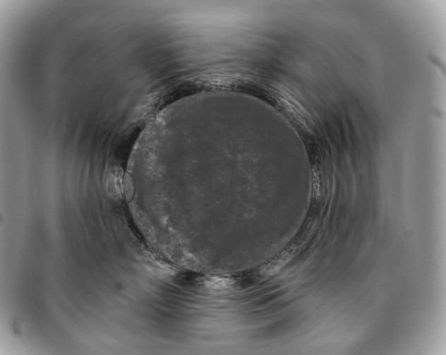 X0000096410718200802141541