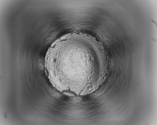 X0000096410719200802141541