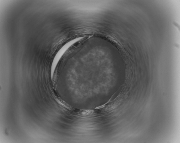 X0000096410720200802141541