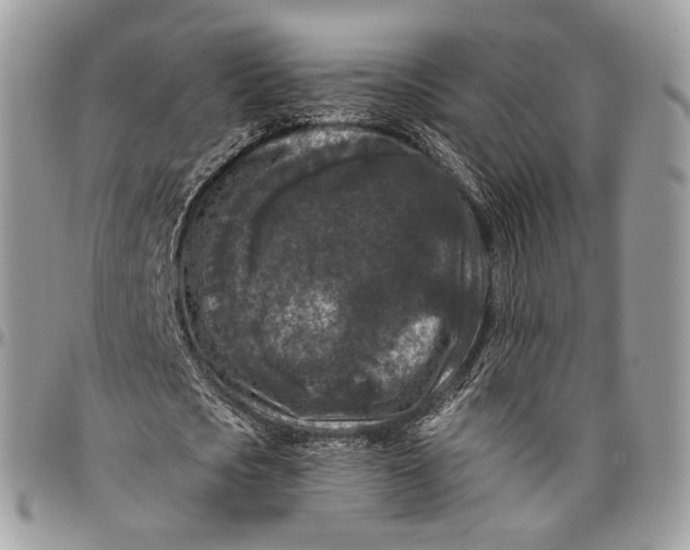 X0000096410721200802141540