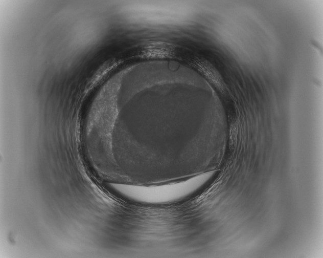 X0000096410722200802141540