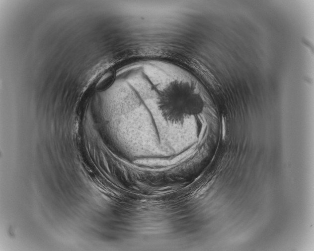 X0000096410723200802141540