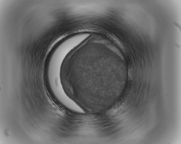 X0000096410724200802141540