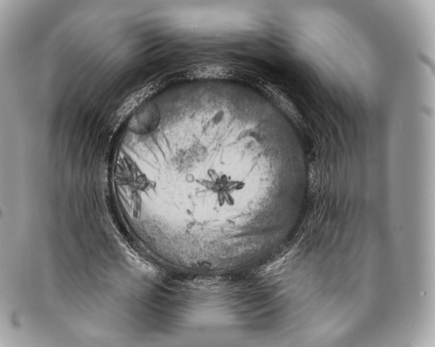 X0000096410725200802141540