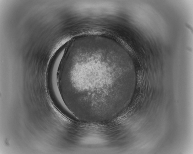 X0000096410726200802141540