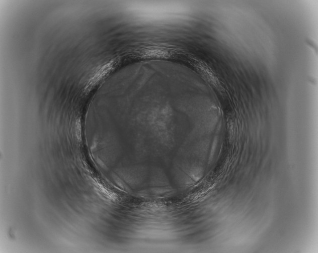 X0000096410729200802141540