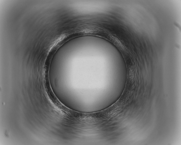 X0000096410730200802141540