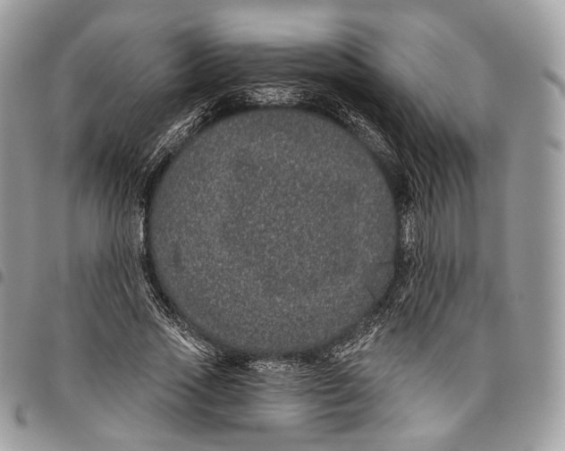 X0000096410733200802141540