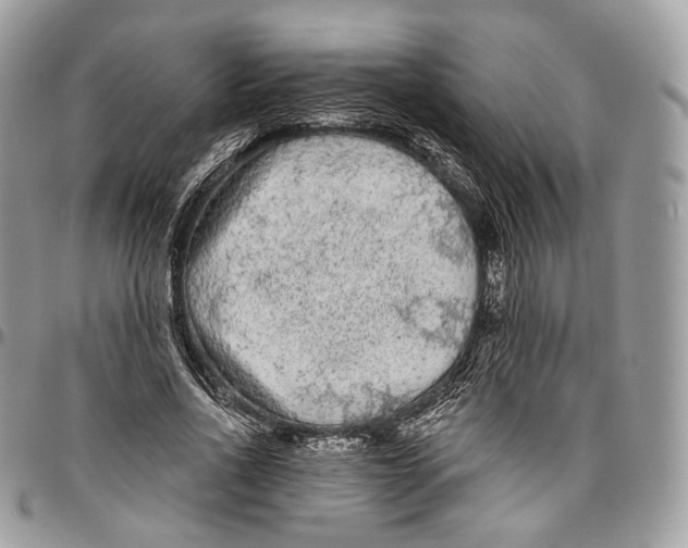 X0000096410734200802141540