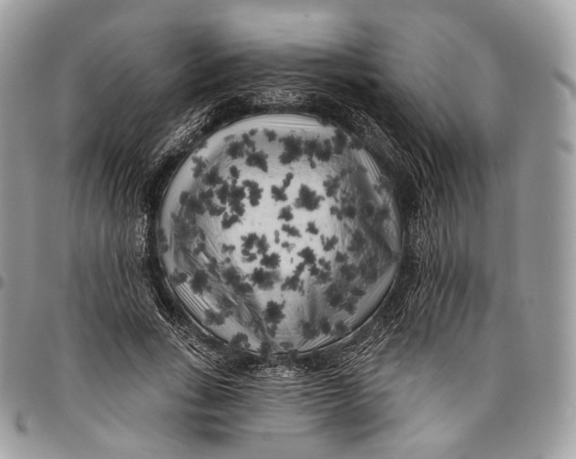 X0000096410735200802141540