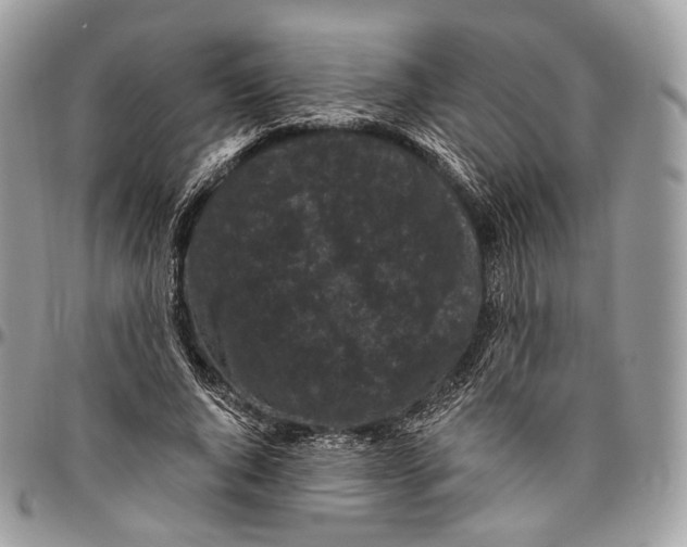 X0000096410736200802141540