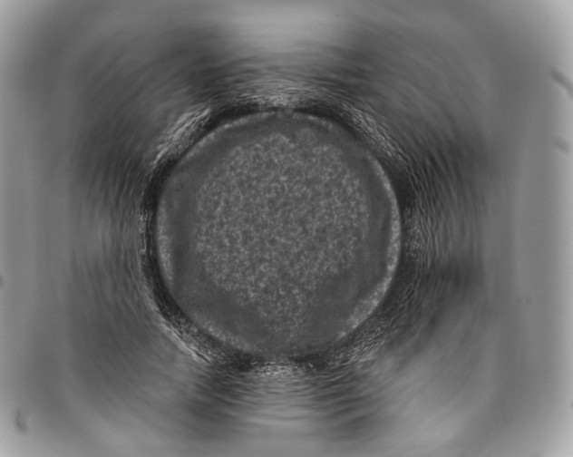 X0000096410738200802141540