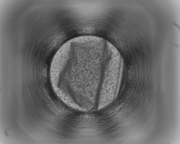 X0000096410739200802141540