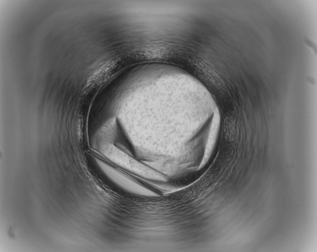 X0000096410740200802141540