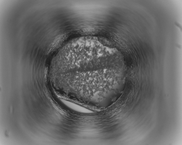 X0000096410742200802141540