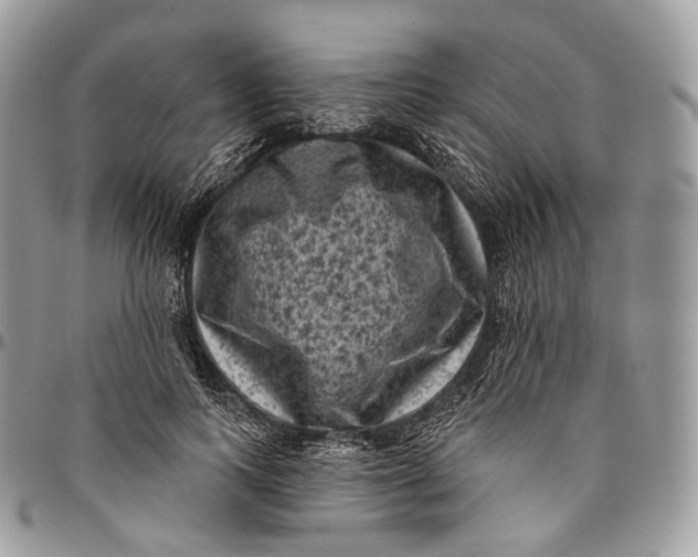 X0000096410743200802141540