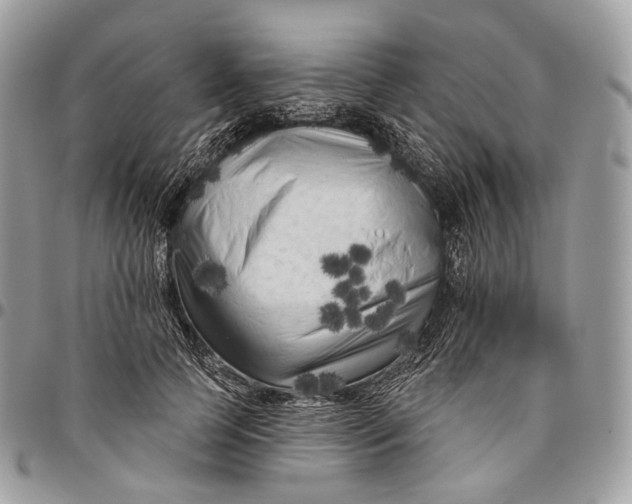 X0000096410745200802141540