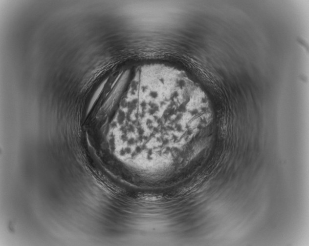 X0000096410746200802141540