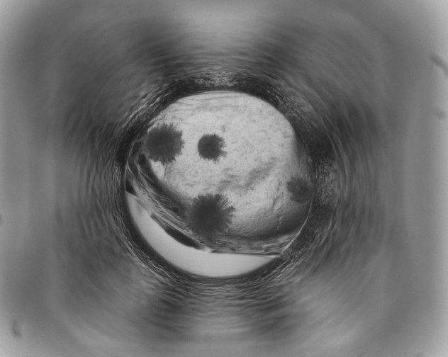 X0000096410747200802141540